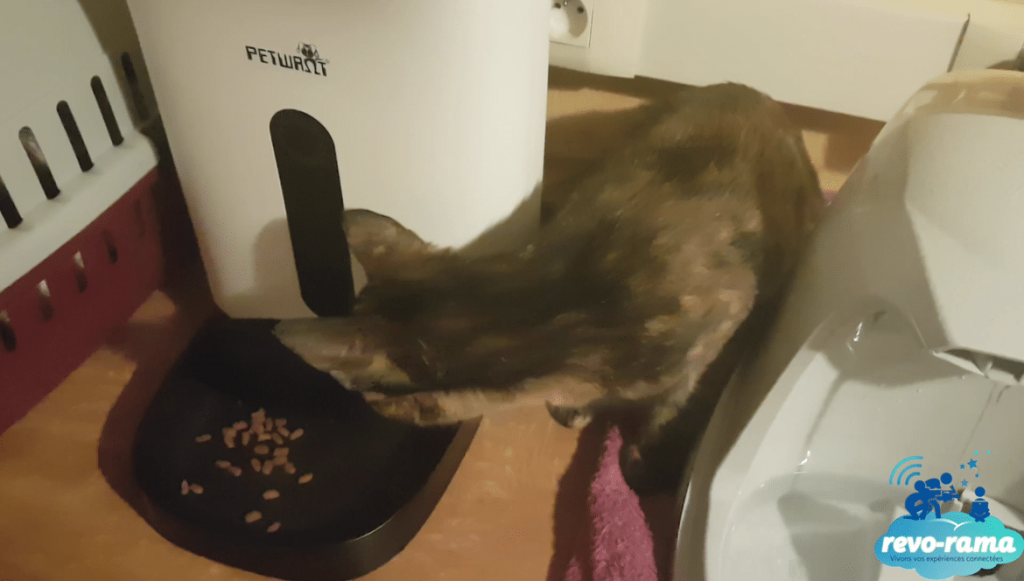 Kaya-Petwant-Petfeeder