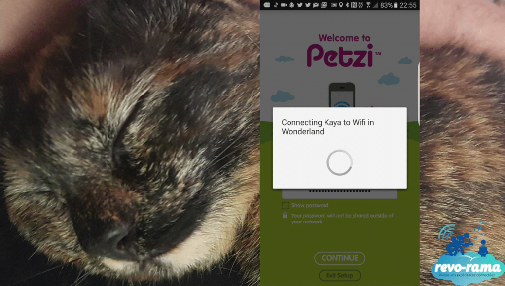 Kaya-Petzi-Connecting-Wifi