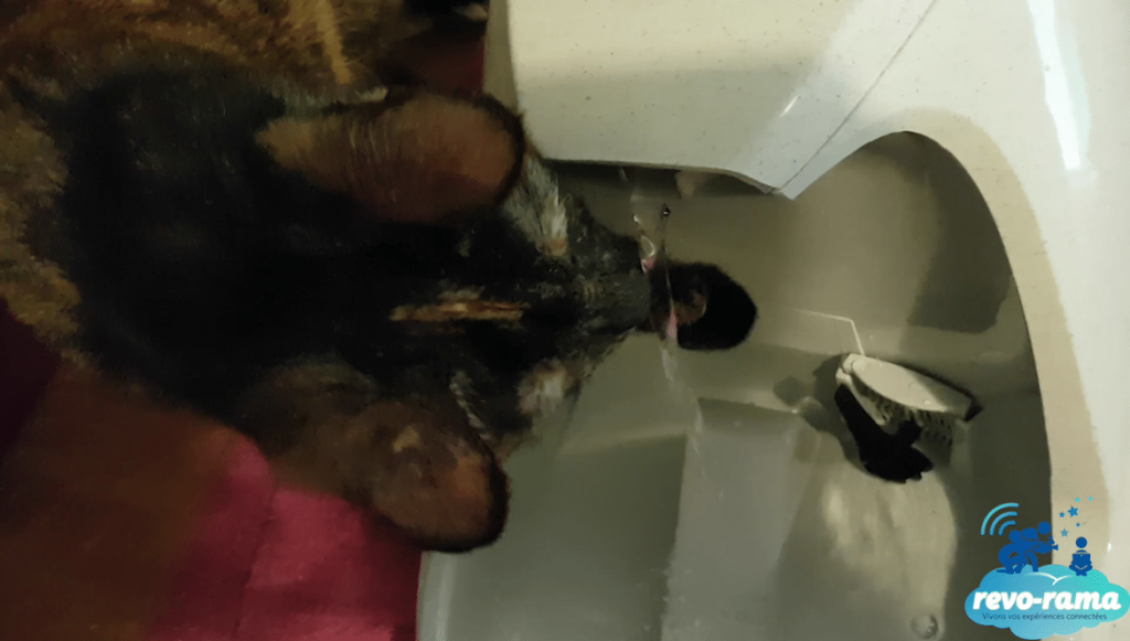 Kaya-boit-Drinkwell-fontaine-eau